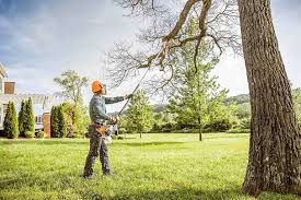 How Our Tree Care Process Works  in  Fort Loramie, OH